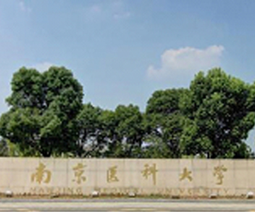 揚子駕駛式掃地機 揚子駕駛式掃地機